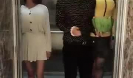 女女磨豆腐视频,一场别开生面的现代风情演绎